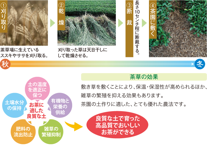静岡の茶草場農法 生物多様性保全 世界農業遺産