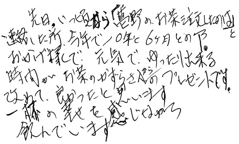 掛川茶　深蒸し茶　感想