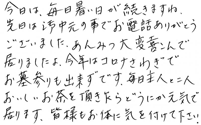 掛川茶　深蒸し茶　感想