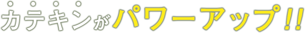 カテキンがパワーアップ!!