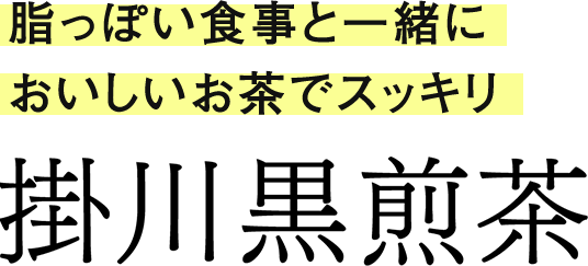 脂っぽい食事の後に、おいしいお茶でスッキリ掛川黒煎茶【新商品】