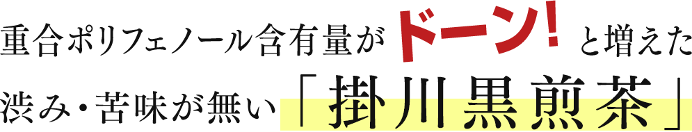 重合ポリフェノール含有量がドーン!と増えた渋み・苦味が無い「掛川黒煎茶」