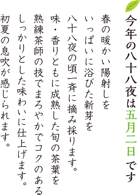 八十八夜新茶