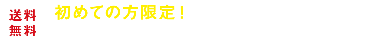 送料無料 初めての方限定!特別価格のお得な2本セットをご自宅のポストへお届け!